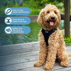 Best Pet Supplies Voyager Adjustable Step-in Flex Breathable Mesh Dog Harness for Small Medium Large Dogs Leash Set (Black), XS