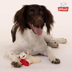 Multipet Lamb Chop Dog Plush Toy - Squeaky Toy for All Dogs - Extra Soft Plush - Stuffed Animal Dog-Toy for Cuddling & Playing - Cute Pet-Toy (6",Cream),(Pack of 2)