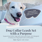 Lucky Love Dog Martingale Dog Collar & Leash - Adjustable, No-Slip, Durable, Comfortable, Soft Webbing, & Stylish Patterned Collar & Leash Set for Male and Female Dogs - Rosie Combo, Large