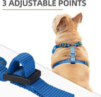PUPTECK Small Dog Harness and Leash Set, No Pull Adjustable Puppy Cat Harness, Reflective Soft Mesh Pet Vest Small Sized, Blue, S
