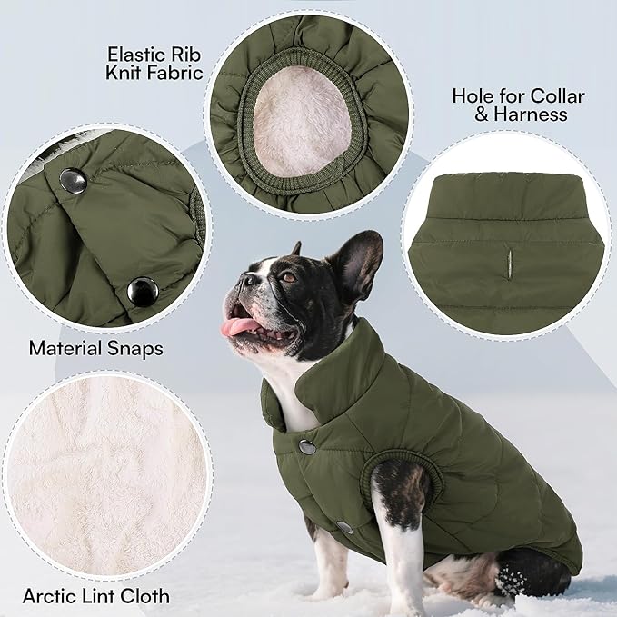 ASENKU Windproof Dog Winter Coat Waterproof Fleece Jacket Cold Weather Pet Apparel for Small Medium Large Dogs (ArmyGreen, M)