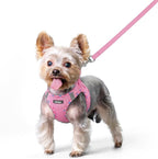 rabbitgoo Dog Harness Small Sized and Leash Set, Step in Soft Light Puppy Vest, Breathable Mesh Pet Harness, Reflective for Safe Easy Walking, Pink & Plaid Trim XS