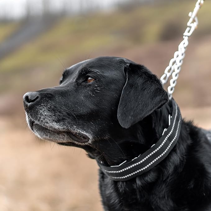 Herm Sprenger Black Reflective Nylon Cover for Ultra-Plus Pinch Dog Collar for Small Medium Large Dogs Durable Protector for Dog Training Prong Collar (18.5in (46.5cm))