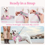 rabbitgoo Dog Harness Small Medium Sized and Leash Set, Step in Soft Light Puppy Vest, Breathable Mesh Pet Harness, Reflective for Safe Easy Walking, Pink & Gray L