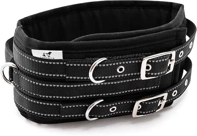 Protective Tactical Dog 4" Wide Collar for Medium Dogs – Heavy-Duty Adjustable Nylon Collar with Control Handle, Quick-Release Metal Buckle & D-Ring for Training, Play & Outdoor Safety