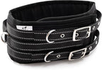 Protective Tactical Dog 4" Wide Collar for Medium Dogs – Heavy-Duty Adjustable Nylon Collar with Control Handle, Quick-Release Metal Buckle & D-Ring for Training, Play & Outdoor Safety