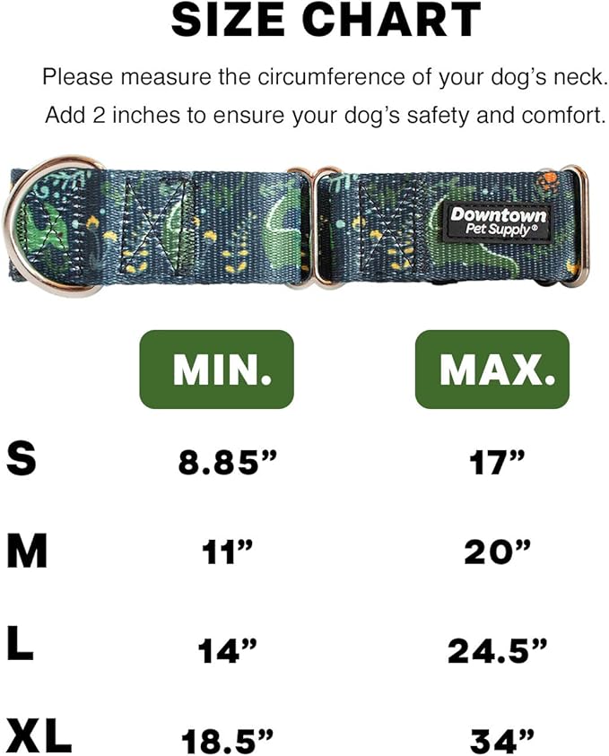 Downtown Pet Supply - Martingale Collar for Dogs - Dog Training Collar - Big, Wide & Thick Dog Collar - Escape-Proof, Weatherproof, Durable and Comfortable - Dino - Extra Large Dog Collar
