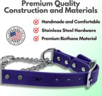 Martingale Collar for Dogs, Biothane, Stainless Steel Hardware, No Pull, Made in The USA, Professional Grade, Small, Purple