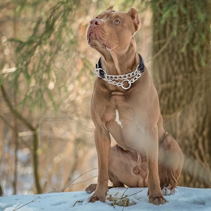 Reflective Martingale Collar for Dogs with Steel Chain, Adjustable No Pull Dog Training with Soft Padded for Large Breed Dogs, Medium, XL, XXL Walking Collar (Black XL)