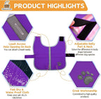 Queenmore Dog Winter Coat, Cold Weather Fleece Jacket for Dogs, Waterproof Reflective Reversible, for Small, Medium and Large Dogs (Purple, XS)
