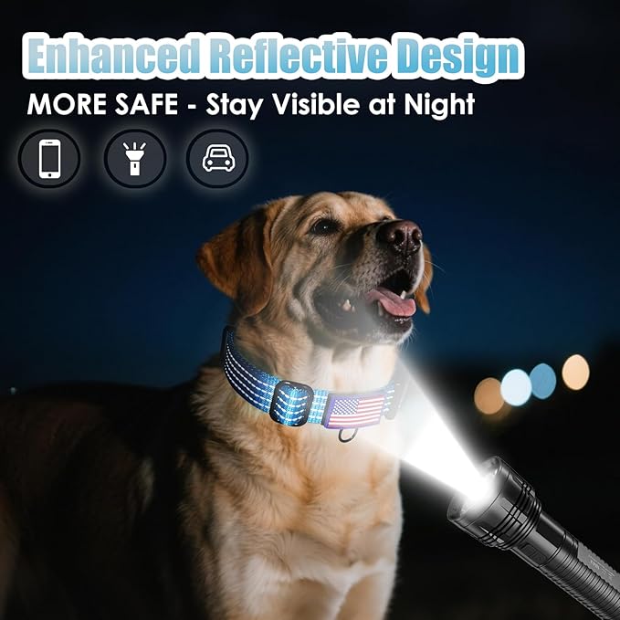 Martingale Collar for Dogs, Reflective Heavy Duty with Quick Release Nylon Buckle-USA Flag-No Pull Training Choker for Walking, Training, Sky Blue,L