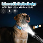 Martingale Collar for Dogs, Reflective Heavy Duty with Quick Release Nylon Buckle-USA Flag-No Pull Training Choker for Walking, Training, Sky Blue,L