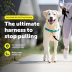 PetSafe Easy Walk Harness for Dogs - Pull-Free Walks - Patented Martingale Loop Design - Front Chest Leash Attachment - Comfort Straps - Breathable Harness Design - Large, Teal/Gray