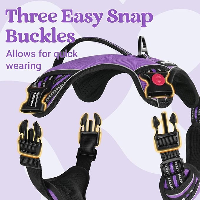 rabbitgoo Dog Harness Medium Sized, No Pull Pet Harness with Soft Padded Handle, Adjustable Reflective Vest with 3 Buckles, Easy Walking Harness with 2 Leash Clips, Purple, XL