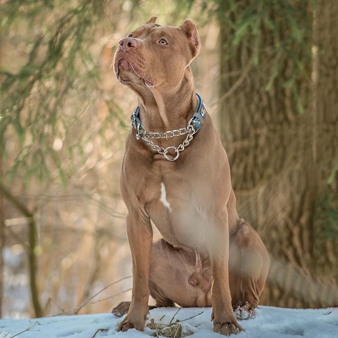 Reflective No-Pull Martingale Dog Collar with Chain, Adjustable Training Collar with Cute Cartoon Dog Pattern for Medium, Large, XL Dogs (Medium)