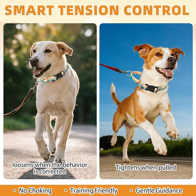KOOLTAIL Martingale Collar for Dogs for Small Medium Large Dogs, Soft Padded Nylon No Pull Dog Collar with Buckle, Adjustable No Slip Heavy Duty Durable Puppy Training Collar for Boys Girls, Orange M