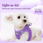 rabbitgoo Dog Harness Small Medium Sized and Leash Set, Step in Soft Light Puppy Vest, Breathable Mesh Pet Harness, Reflective for Safe Outdoor Walking, Purple L