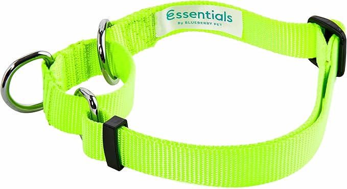 Blueberry Pet Essentials Martingale Safety Training Dog Collar, Highlighter Yellow, Large, Heavy Duty Nylon Adjustable Collars for Dogs