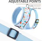 PUPTECK Soft Mesh Dog Harness and Leash Set Pet Puppy Cat Comfort Padded Vest No Pull Harnesses, Easter Blue, M