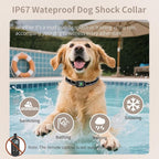 Dog Shock Collar 4900FT Dog Training Collar with Remote/Call Function/Light IP67 Waterproof Electric Collar for Dogs Rechargeable E-Collar for All Breeds, 4 Training Modes(10-120Ibs)