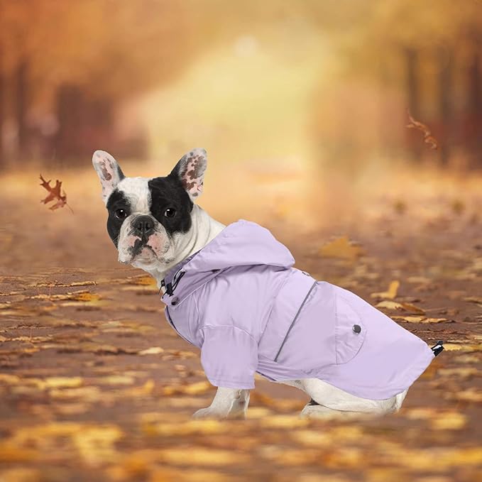 Morezi Dog Zip Up Raincoat with Reflective Buttons, Rain/Water Resistant, Adjustable Drawstring, Removable Hood, Raincoats with Legs 8lbs to 80lbs Available - Purple - S