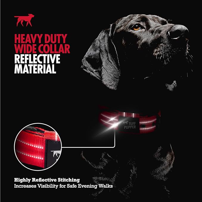 Tuff Pupper Heavy Duty Tactical Dog Collar | 1.25" Wide Ballistic Nylon | Reflective Stitching | Integrated ID Tag Holder | Stainless Steel Buckle | Padded Lining | Small & Medium Dogs (Red, Small)