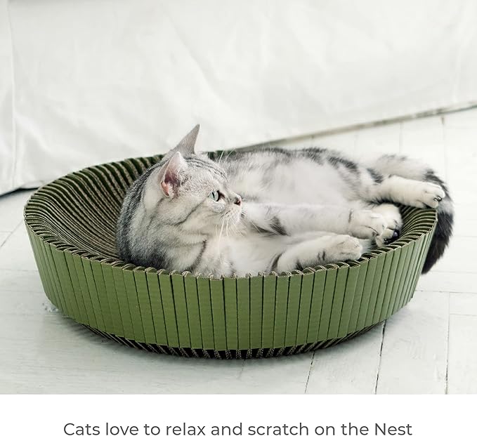 Nest Cat Scratcher Lounge Bed - for Rubbing, Resting, and Scratching (Assembled Bundle, Yosemite Green)