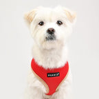 Puppia Soft Dog Harness II Mesh Over-The-Head All Season No Pull No Choke Walking Training Adjustable for Small & Medium Dog - RED - S