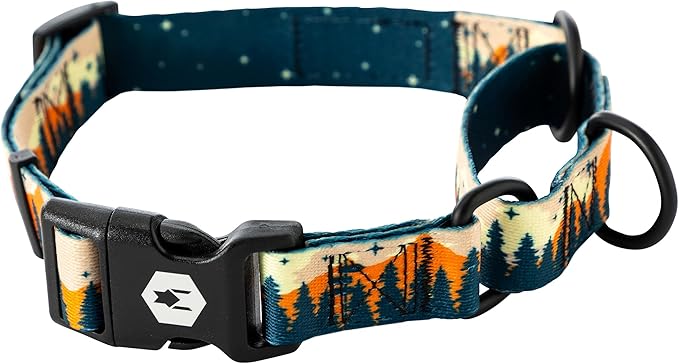 Wolfgang Heavy Duty Martingale Dog Collar with Quick Release Nylon Buckle for Walking & Training, Overland Print, Small