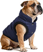 AURUZA Dog Winter Coat, Warm Waterproof Dogs Jacket Small Pet Vest for Medium Dogs Windproof Pet Fleece Vest Snow Jacket for Cold Weather(Navy Blue,L)