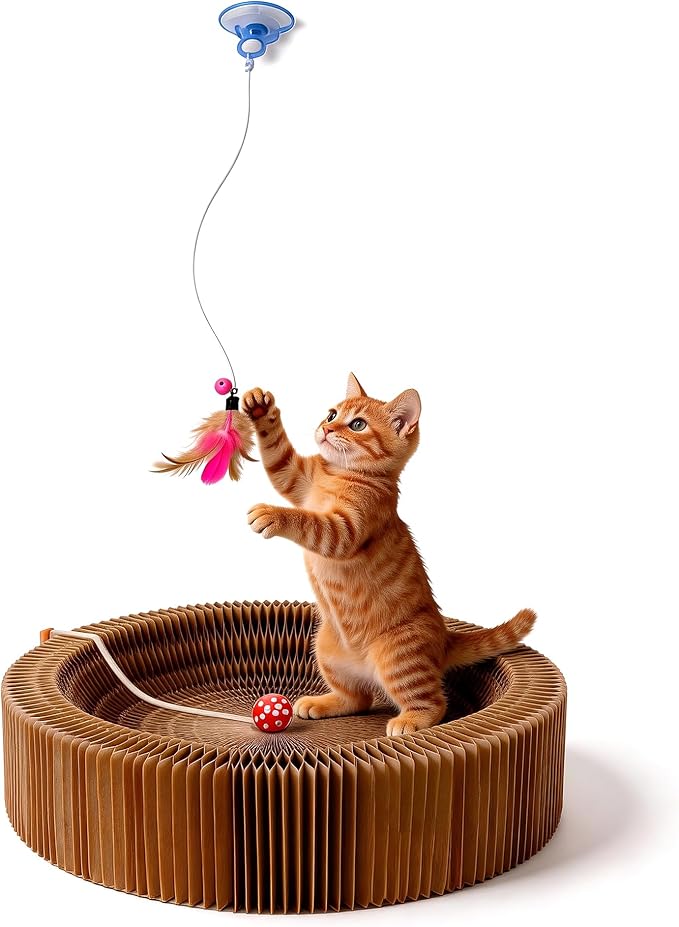 Collapsible Round Cat Scratcher Lounge Bed,Accordion Cardboard Scratching Board for Indoor Large Cats, Kitten Bed & Play Toy,16 inch