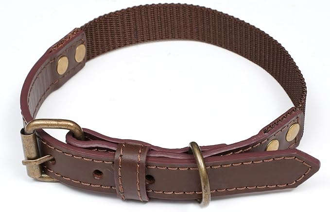 Heavy Duty Dog Collar and Leash Set for Large Dogs - Adjustable 21" Leather Nylon Collar with Durable 50" Leash, Metal Buckle & Handle - Training, Walking, Outdoor Pet Harness Combo for Big Breeds
