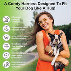 EcoBark Step in Dog Harness - Eco-Friendly Teacup Dog Harnesses for XXS, XS, and Small Dogs - Reflective and Adjustable Mini Body Halter Vest -Tiny Soft Mesh Toy Breed Harness (Lilac Pink, XXS)