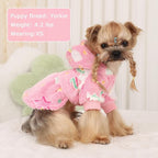 Dog Sweater Fleece Dog Hoodie Winter Puppy Clothes for Small Dogs Boy Girl Pet Hoodies Cold Weather Doggie Coats Fall Doggy Sweatshirt for Chihuahua Yorkie Cat Sweater Costume, Pink Rainbow, XXS