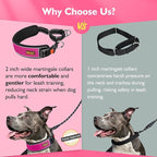 Mayerzon 2 Inch Wide Martingale Collar for Large Dogs, Patented No Pull Walking Training Dog Collar for Pitbull German Shepherd, with Buckle, Reflective Stitching, Adjustable (Hot Pink, XL)