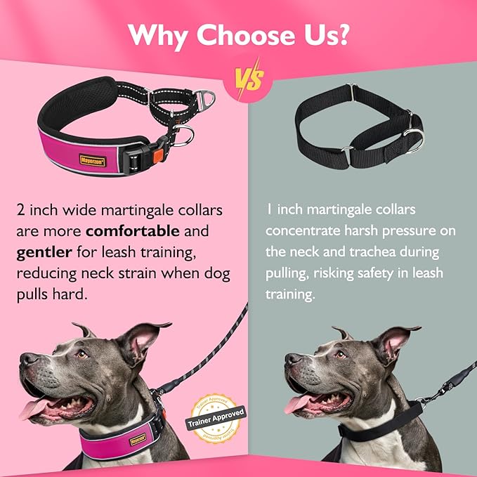 Mayerzon 2 Inch Wide Martingale Collar for Large Dogs, Patented No Pull Walking Training Dog Collar for Pitbull German Shepherd, with Buckle, Reflective Stitching, Adjustable (Hot Pink, M)