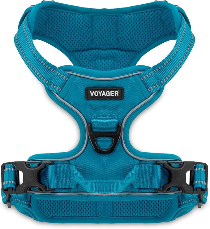 Voyager Dog Harness Dual Leash Attachment No-Pull Control Adjustable Soft but Strong Pet Harness for Medium and Large Dogs with 3M Reflective Technology, Turquoise Nylon, XS (Chest: 13-16")