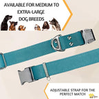 ADITYNA Leather Dog Collar with Metal Buckle - Heavy-Duty, Adjustable for Medium & Large Dogs - Walking, Training, Hiking (Blue, Fits 15-21" Necks)