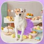Dog Tutu Tulle Tutu for Dogs Small Large Medium Puppy Dress Ballerina Costume Skirt for Holiday Puppy Cats Bunny Pet Outfit Birthday Wedding Party Photo Prop Supplies(Purple)