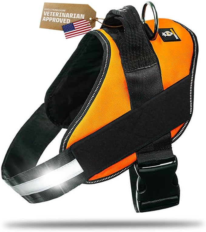 Dog Harness with Patch Panels, No Choke, Reflective, Adjustable, Soft Padded Dog Vest Harness with Easy Control Handle for Small Size Dog, Orange, S