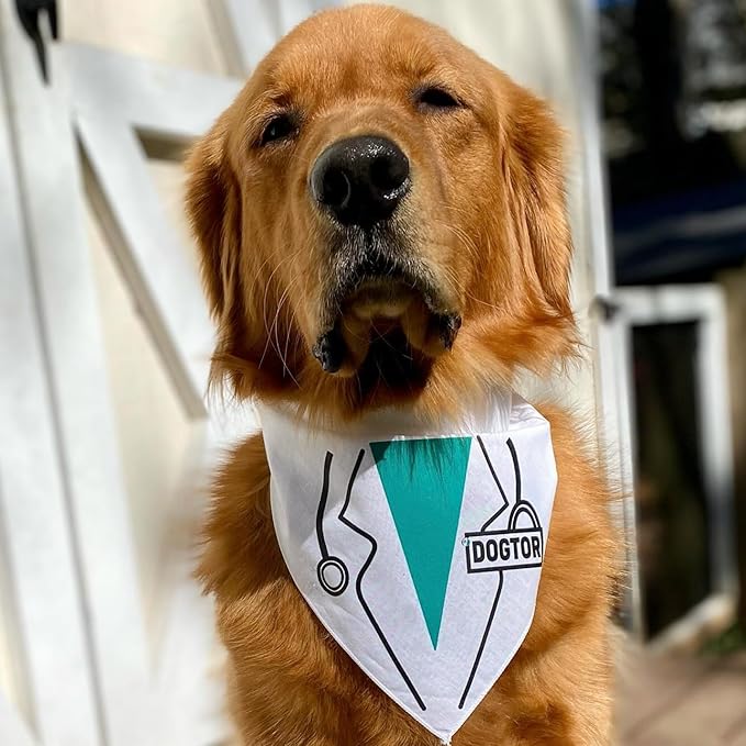 Dogtor Dog Bandana | Professions Halloween Costume | 100% Cotton Triangle | Made in USA | Medical Theme | Parade Party | Trick or Treat | Matching Set | White One Size (1151)