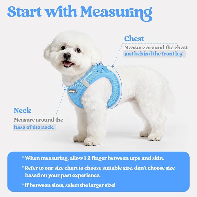 rabbitgoo Dog Harness Small Sized and Leash Set, Step in Soft Light Puppy Vest, Breathable Mesh Pet Harness, Reflective for Safe Easy Walking, Blue XS