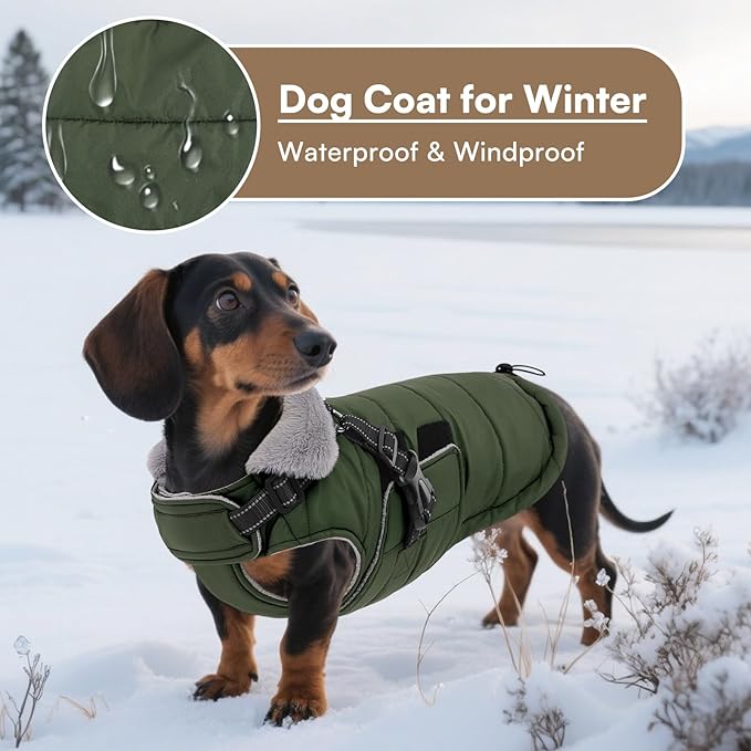 Queenmore Winter Dog Jackets for Medium Dogs with Harness Built-in, Waterproof Puffer Jacket for Snow/Cold Weather, Pet Warm Coat for Doggie Boy/Girl - Fleece Lining Reflective Easy-on, Green M