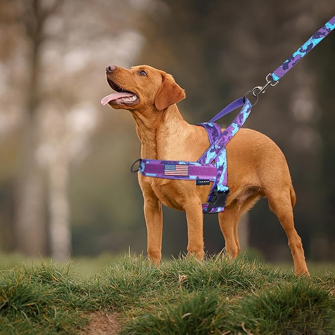 Annchwool No Pull Dog Harness with Soft Padded Handle-Escape Proof and Quick Fit to Adjust Dog Harness-Easy for Training Walking for Small & Medium and Large Dogs(Camo Purple,XS,1 in Width)