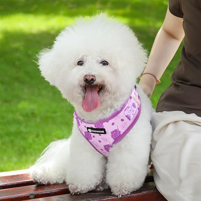 Dog Harness and Leash Set, Adjustable Dog Harness, Dog Leash, No Pull No Choke Puppy Harnesses for Walking Training for Small Medium Pet (Wines, XS(Chest 9.9-13.5", Neck 7.8-10.2"))
