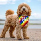 Free Kisses Rainbow Dog Bandanas, LGBTQ+ Pet Accessories for Pride Day Month Gifts for Dogs Owners LGBTQ+ Pride Dog Bandana Rainbow Pet Scarf for Small Medium Cats Dogs