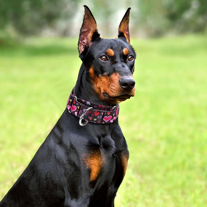 Valentine's Day 1.5 inch Wide Martingale Dog Collar, Cute Loving Heart Collar for Medium Large Extra Large Dogs -Heart XL
