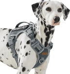 Service Dog Vest Harness with 2 Velcro Patches, No Pull Dog Harness for Walking Training Hiking, Metal D-Rings Easy on/Off Neck Buckle Reflective Strips Soft Padded Handle, Gray