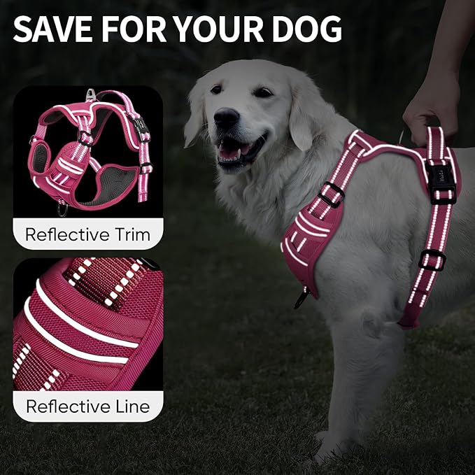 HEELE Dog Harness for Small Dogs No Pull Dog Vest Harness for Small Dog with Soft Padded Handle Reflective for Outdoor Training, Rose(Matching Trim), S