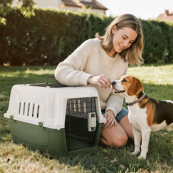 Magshion Pets Plastic Carrier, 22-Inch Hard-Sided 2-Door Top-Loading Kennel for Small Dogs and CatsLonger Traveling, Durable Handle, and 4 Sides Ventilation for Pet Up 22 lbs (White+Green)